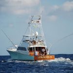 PESCA 2